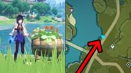 Clue #4 (Image via HoYoverse)